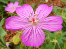 photo thumbnail #10
