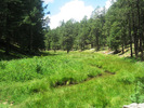 photo thumbnail #5