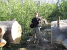 photo thumbnail #4