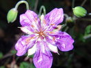 photo thumbnail #13