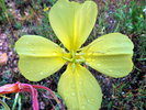 photo thumbnail #14