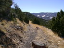 photo thumbnail #2
