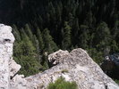 photo thumbnail #5