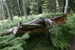 photo thumbnail #15