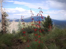 photo thumbnail #9