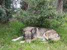 photo thumbnail #10