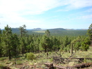 photo thumbnail #15