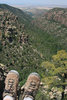 photo thumbnail #11