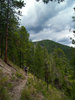 photo thumbnail #1