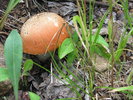 photo thumbnail #4