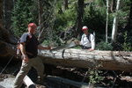 photo thumbnail #5