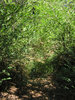 photo thumbnail #12