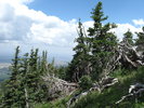 photo thumbnail #3