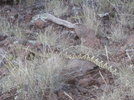 photo thumbnail #13