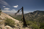 photo thumbnail #5