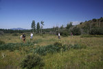 photo thumbnail #7