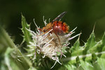 photo thumbnail #8