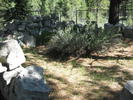 photo thumbnail #3