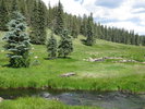 photo thumbnail #5