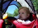 photo thumbnail #8