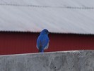 photo thumbnail #12