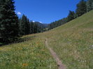 photo thumbnail #6