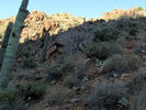photo thumbnail #3