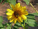 photo thumbnail #1