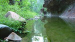 photo thumbnail #13