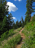 photo thumbnail #7