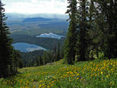 photo thumbnail #10