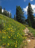photo thumbnail #11