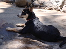 photo thumbnail #5