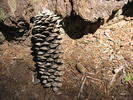 photo thumbnail #9