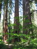 photo thumbnail #14