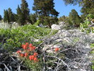 photo thumbnail #15