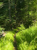 photo thumbnail #1