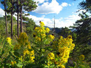 photo thumbnail #9