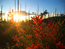 photo thumbnail #15