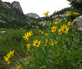 photo thumbnail #15