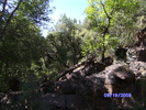 photo thumbnail #4