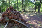photo thumbnail #2