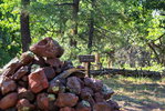 photo thumbnail #3