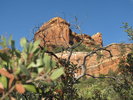 photo thumbnail #2