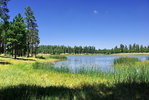 photo thumbnail #9
