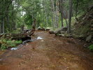 photo thumbnail #9