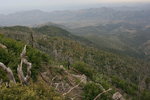 photo thumbnail #12