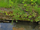 photo thumbnail #10