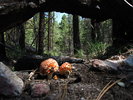 photo thumbnail #3