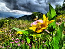 photo thumbnail #10